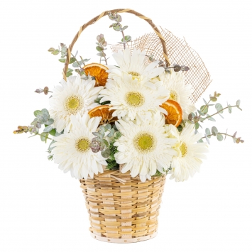Sepette Beyaz Gerbera