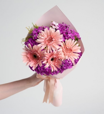 Pembe Gerbera Hüsnüyusuf