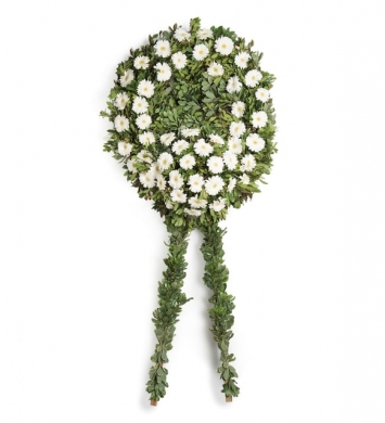 Beyaz Gerbera