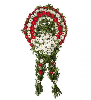 Kırmızı Beyaz Gerbera