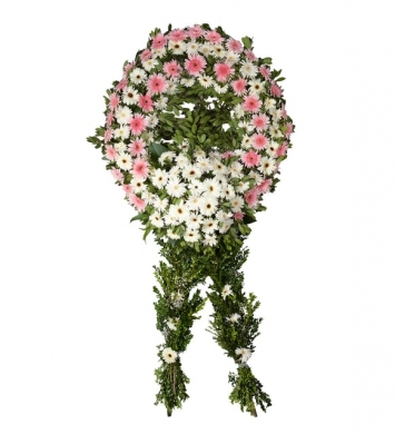Pembe Beyaz Gerbera